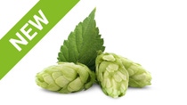 Picture of hops