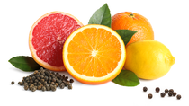 Photo of orange, grapefruit, lemon and peppercorns Photo of orange, grapefruit, lemon and peppercorns
