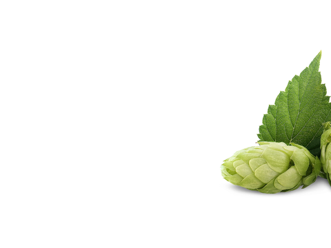 Isobionics® Natural alpha-Humulene 90